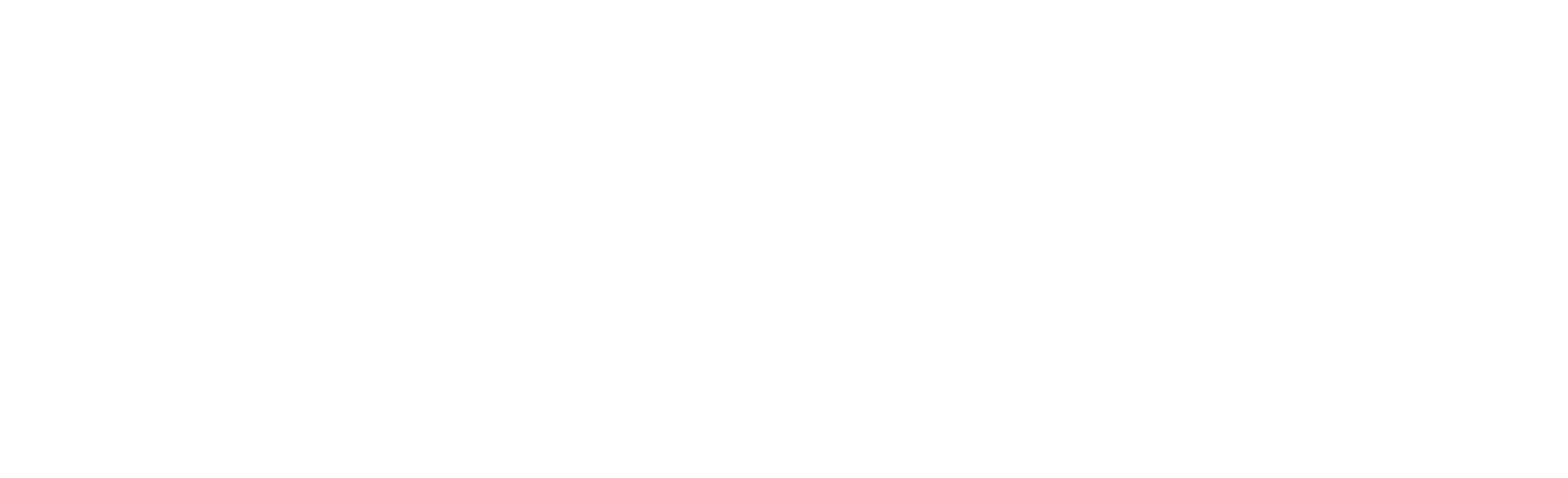 zopilote