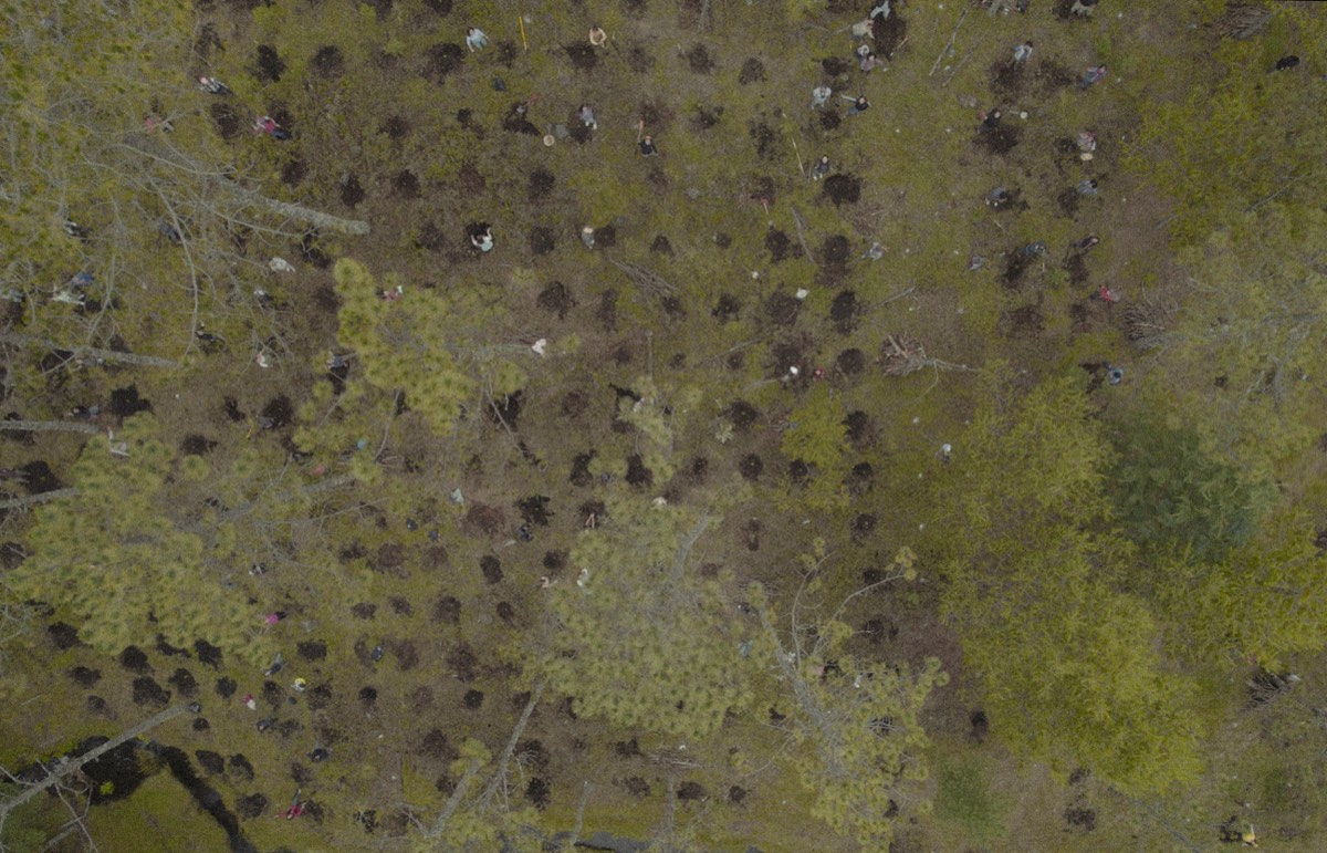 Lectura aérea de un terreno forestal